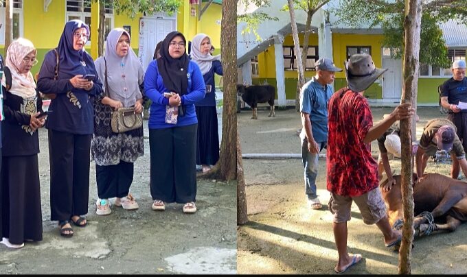 Qurban Edukatif di MIN 1 Kota Gorontalo, Juleha Bersertifikat Terlibat